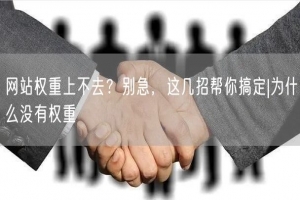 网站权重上不去？别急，这几招帮你搞定|为什么没有权重